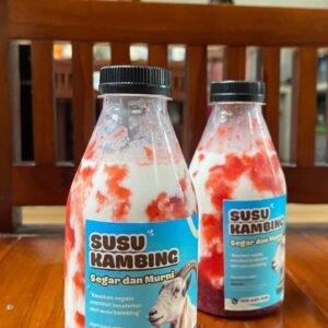 Susu Kambing Rasa Strowberry